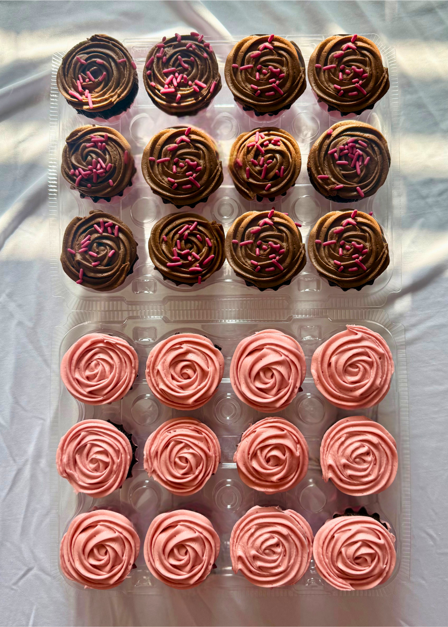 Untitled design-31.png