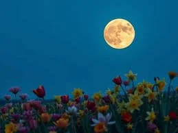 Monthly Full Moon Ceremonies
