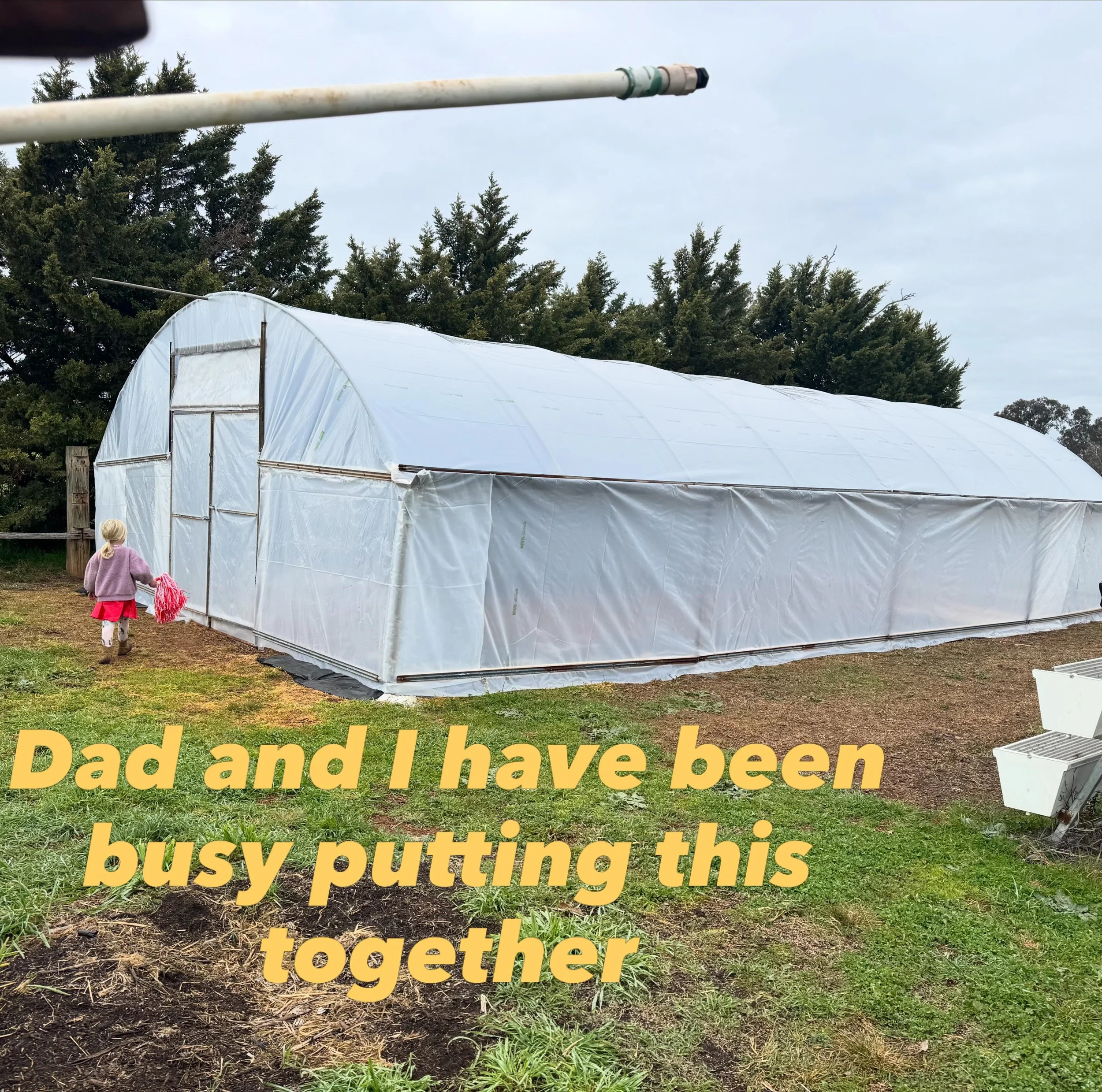 New addition to the flower farm. Hopefully it will house and grow plenty of beautiful cut flower seedlings which will be up for sale soon. Watch this space&hellip;