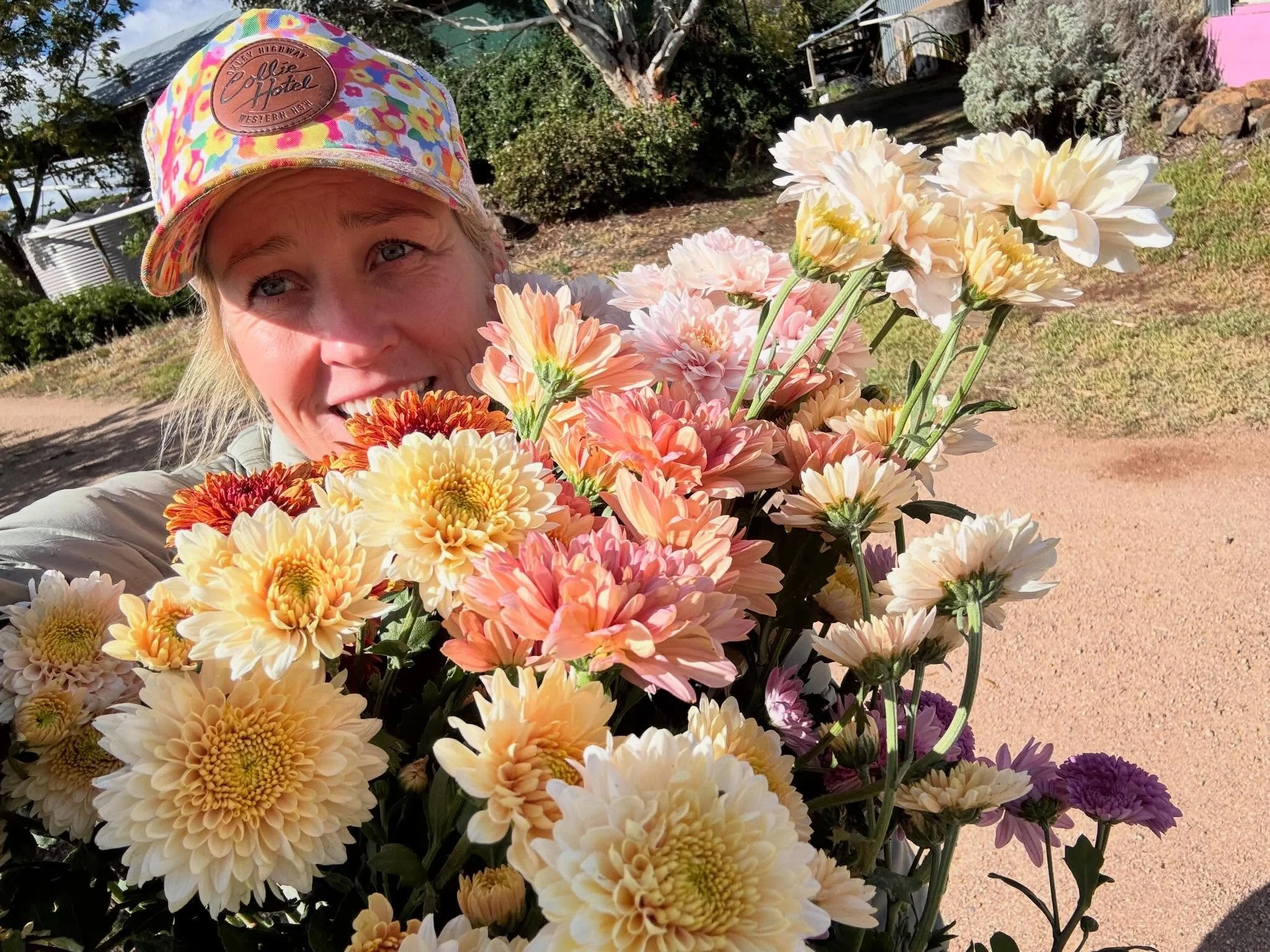 Chrysanthemum harvesting for Mother&rsquo;s Day. Seriously though&hellip;f@$k picking flowers in the wind 🌬️.