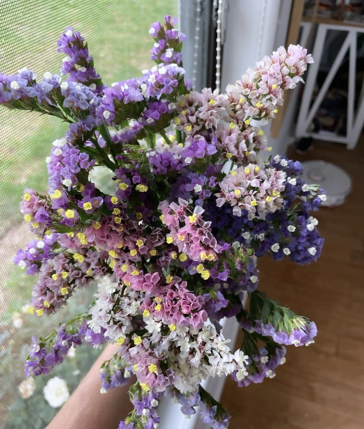 Statice pastel shades mix