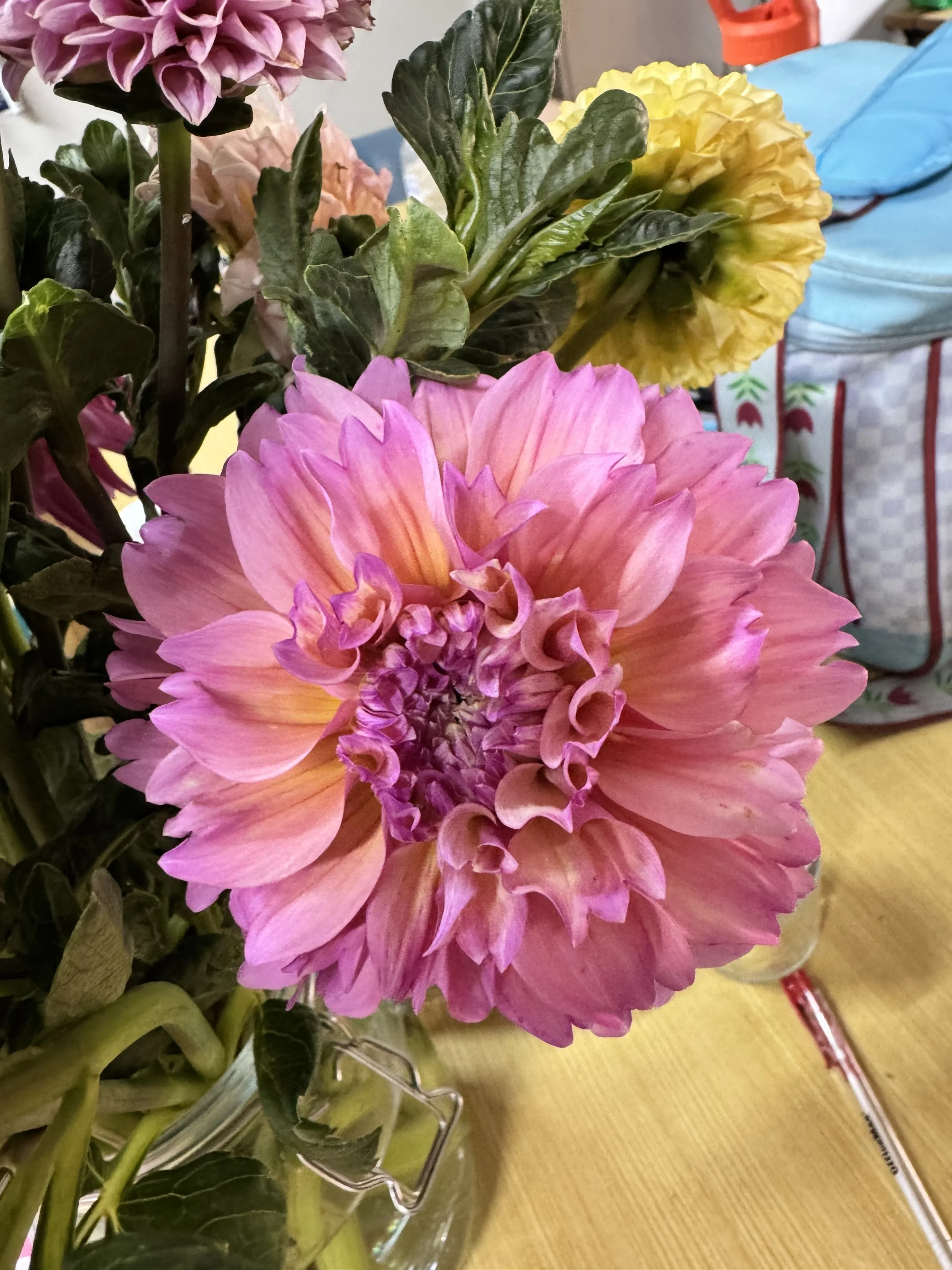 IMG_4834.jpeg