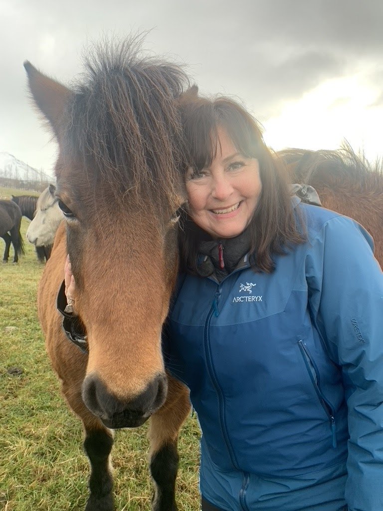 Icelandic Horses