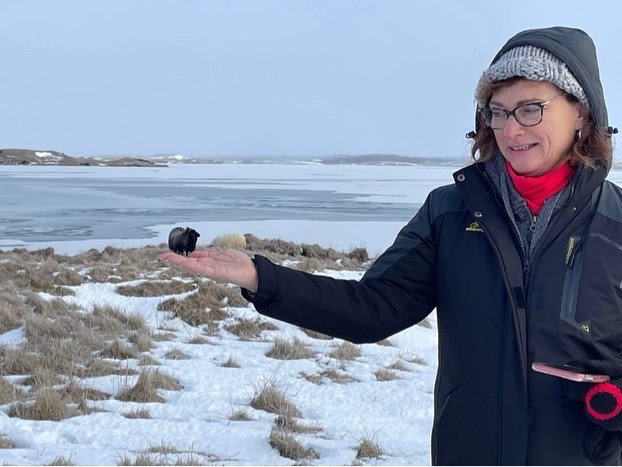 Big Sue holding a tiny sheep in Iceland