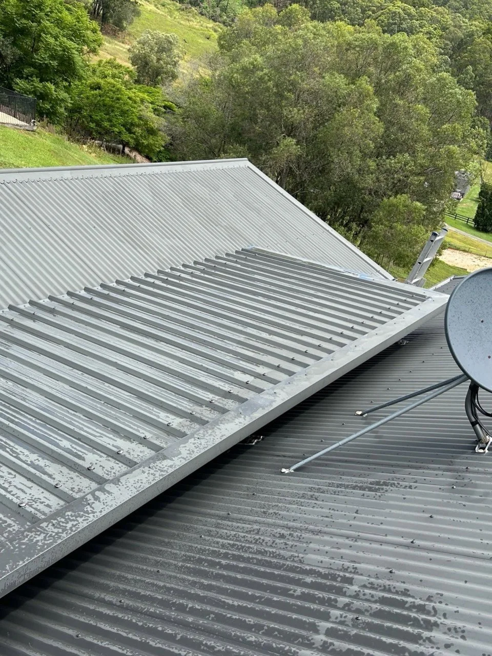 Close-up of a metal roof with a satellite dish attached, surrounded by green trees and a hillside in the background.