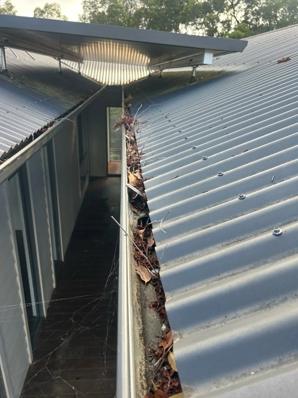 View of a house roof with a damaged section clogged with leaves, twigs, and spider webs, featuring metal roofing and a narrow walkway beneath a window.
