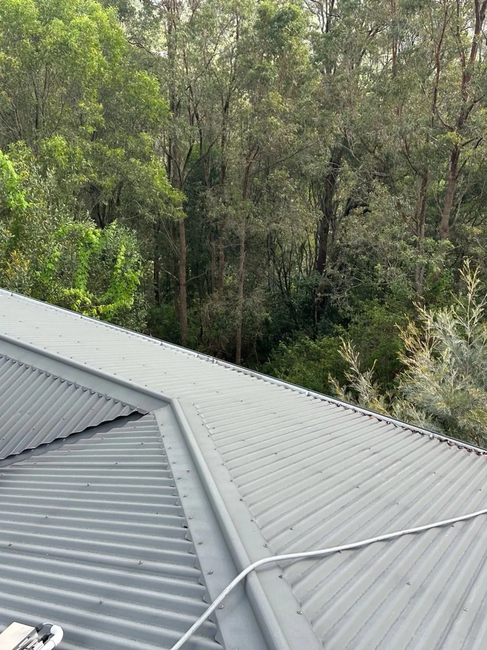 View of a metal roof with a forest background.