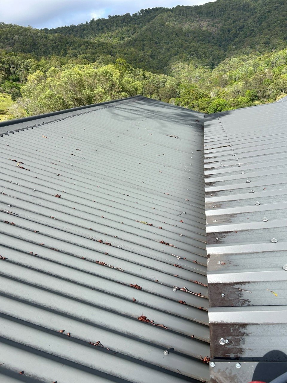 Metal roof with leaves and dirt, surrounded by forested hills in the background.