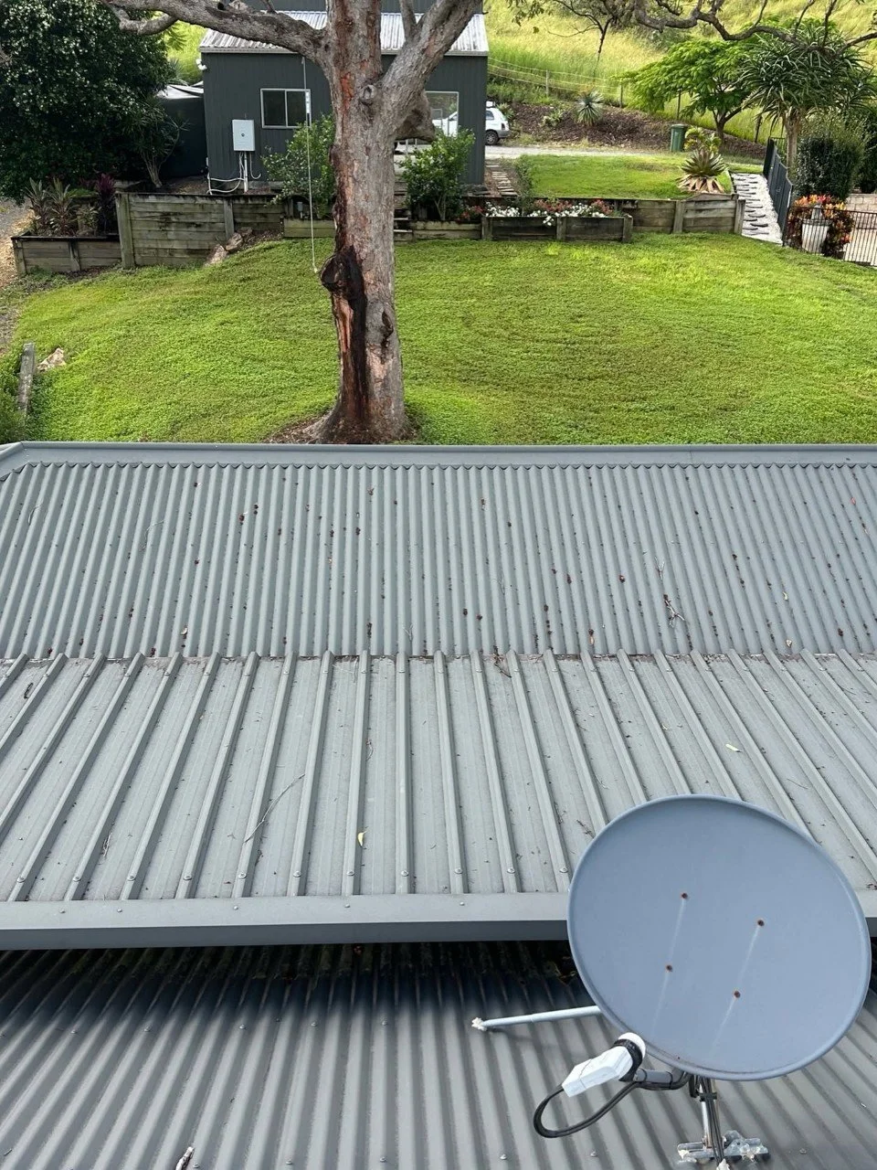 Photo of a backyard viewed from a rooftop, showing a tree with a trunk wound, a grassy lawn, a small shed, and some garden beds with plants and flowers. A satellite dish is in the foreground.
