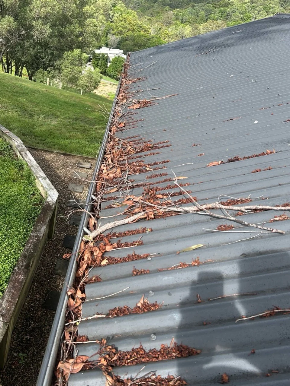 Dirty metal roof with leaves and small twigs scattered along the edge, set in a rural landscape with trees and green lawn.