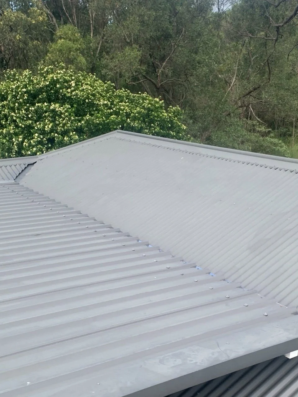 A close-up view of a metal roof with ridges and a corner, with trees and bushes in the background.