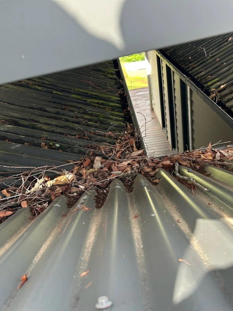 View of a rooftop with corrugated metal sheets covered in dirt, leaves, and small twigs, with a rooftop vent visible in the background.