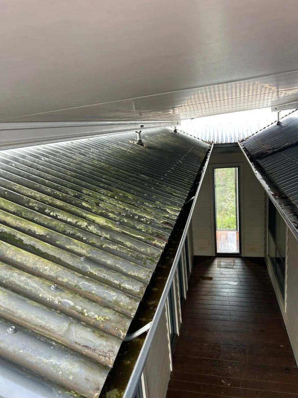 View of dirty, moss-covered roof on a small building with a narrow wooden balcony and a door with a window at the end.