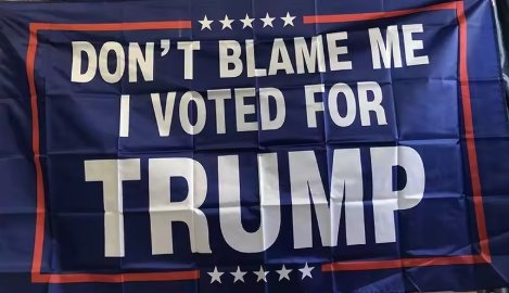 DON'T BLAME ME I VOTED FOR TRUMP FLAG 3X5FT/90X150CM