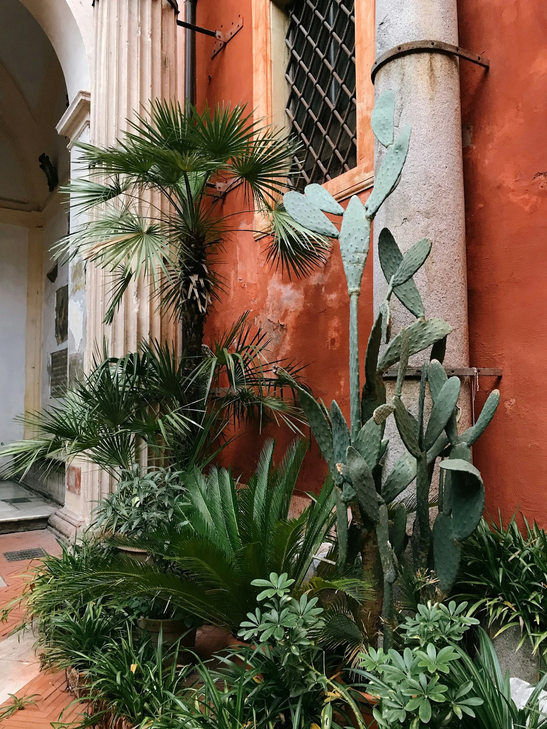 Various potted plants including a cactus, palm, and other greenery outside a building with a reddish-orange wall and a stone column.