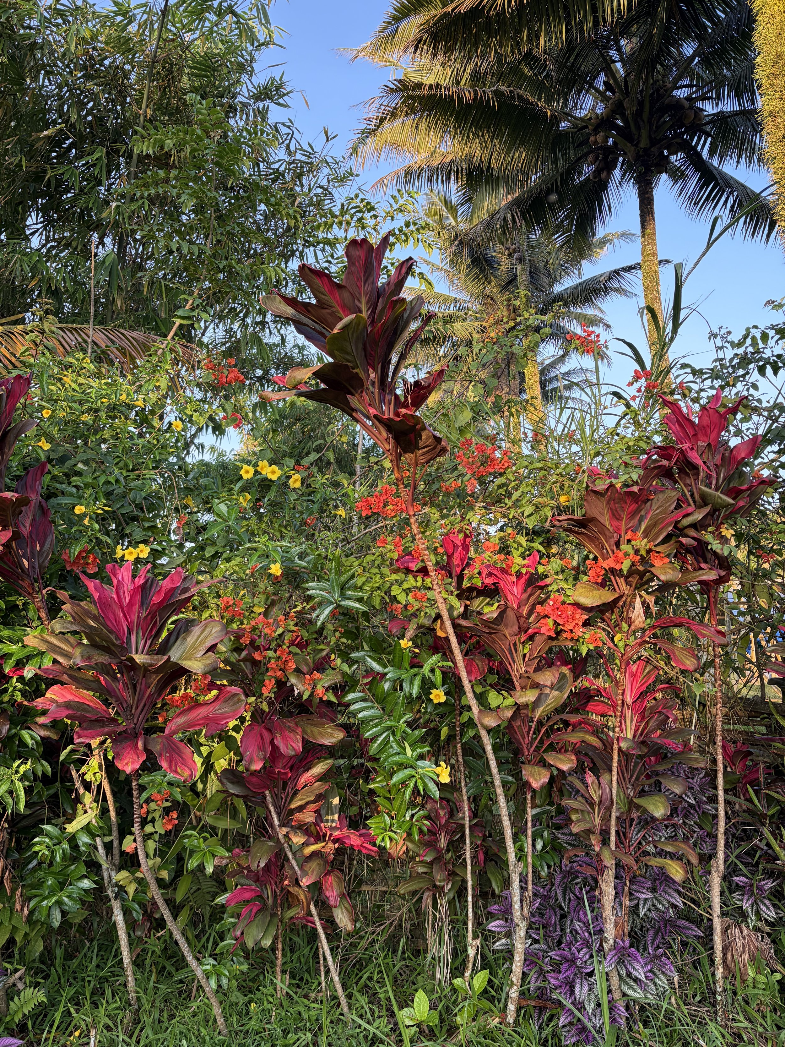 Staying regulated during global turmoil