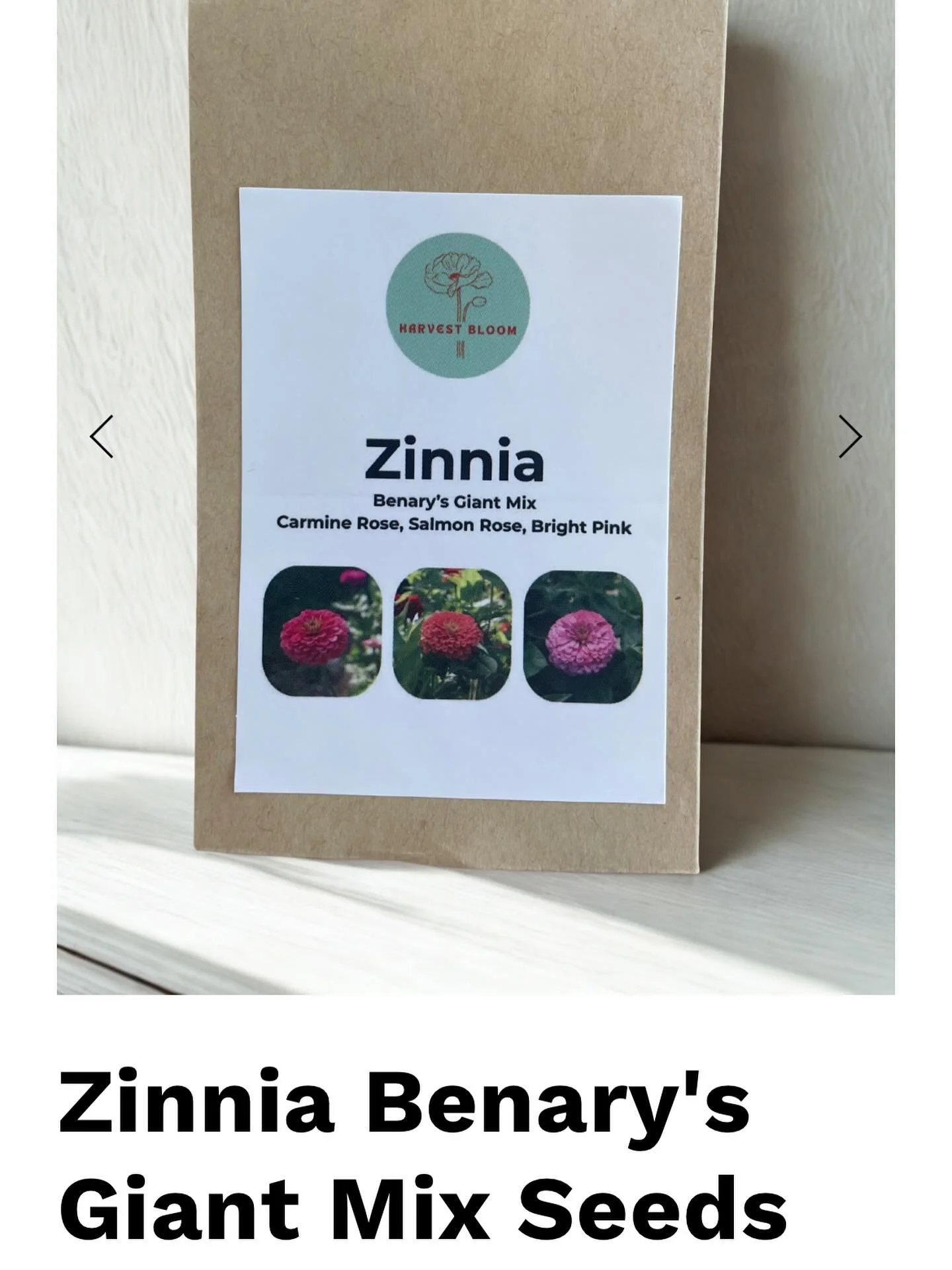 Did you know I have Benary&rsquo;s Giant Zinnia Seeds for sale on my website ✨

And&hellip; thanks to a happy little accident while packing seeds, the next 10 orders will also get a bonus of Oklahoma Pink zinnia seeds in the mix😅🌸
 &mdash; but only