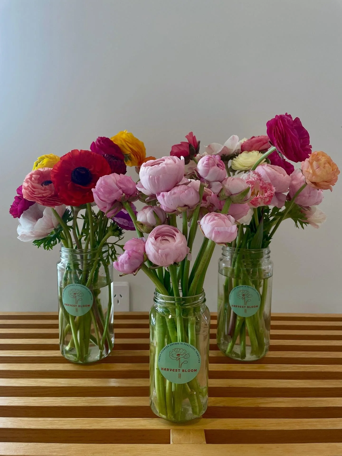 ✨ Bloom jars! ✨ Just $15 each &ndash; the sweetest way to brighten someone&rsquo;s day (or your own 🌸). Limited numbers, so be quick! 💐

#bloomjars #freshflowers #flowersnz #flowerfarm #localflowers #seasonalflowers #floristnz #supportlocalnz #slow