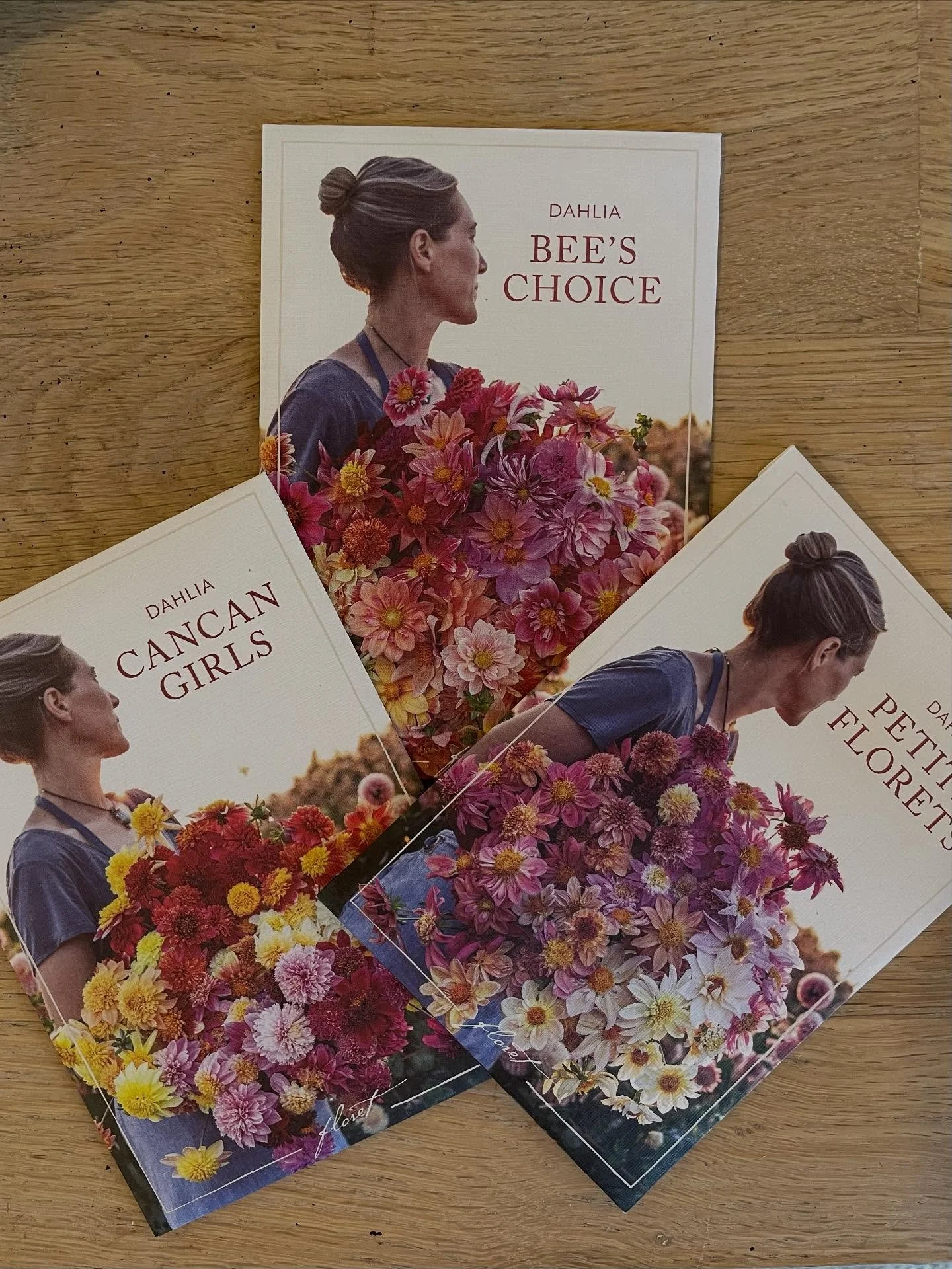 ✨ Join the Waitlist &ndash; Floret Dahlia Seedlings! ✨

These aren&rsquo;t your average dahlias &mdash; they&rsquo;re grown from Floret seeds, the gold standard in the flower world. Floret has inspired growers everywhere. Each of these special seedli