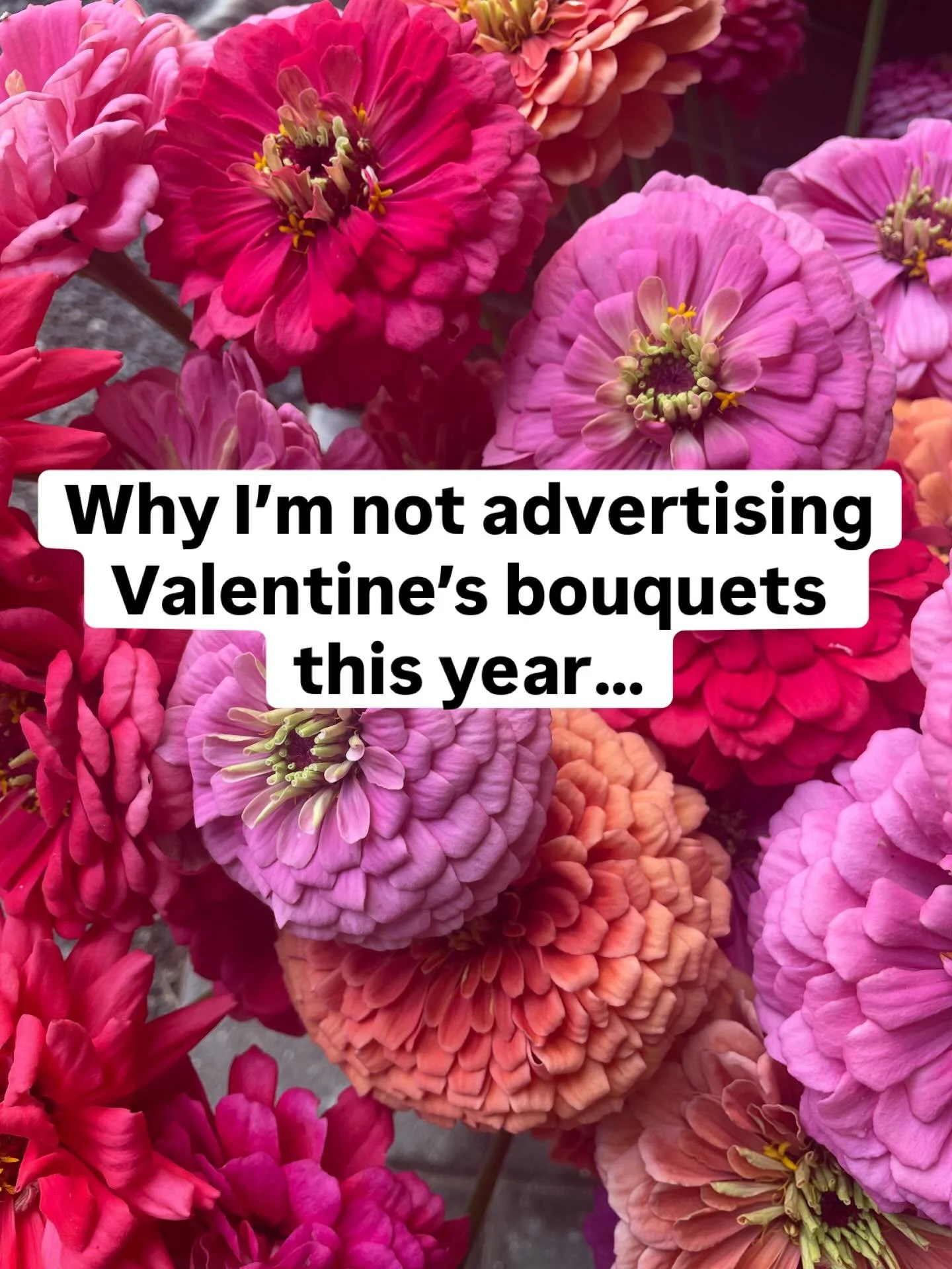 We are sold out for Valentine&rsquo;s! Our flowers have been snapped up by our wonderful local florists.
So no bouquets from me this year, but my flowers are out there doing their thing in florist shops locally 💕
Support local this Valentines &mdash