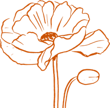 Harvest Bloom poppy icon