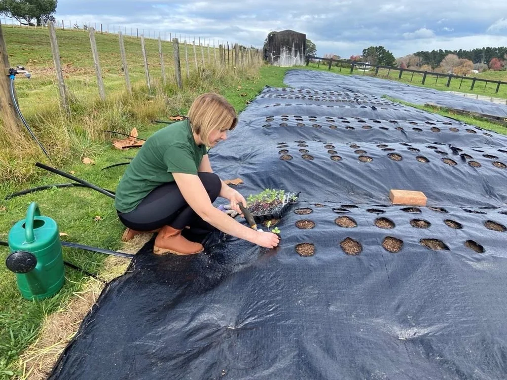 Rachel, founder of Harvest Bloom, planting in the field