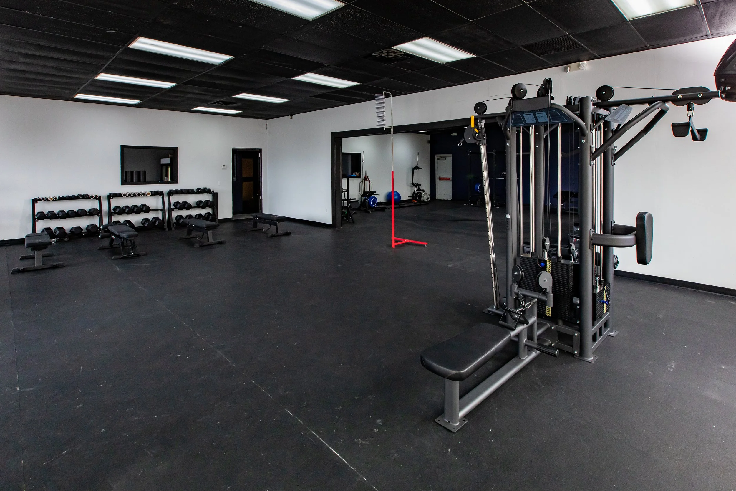 Limitless Performance Coach