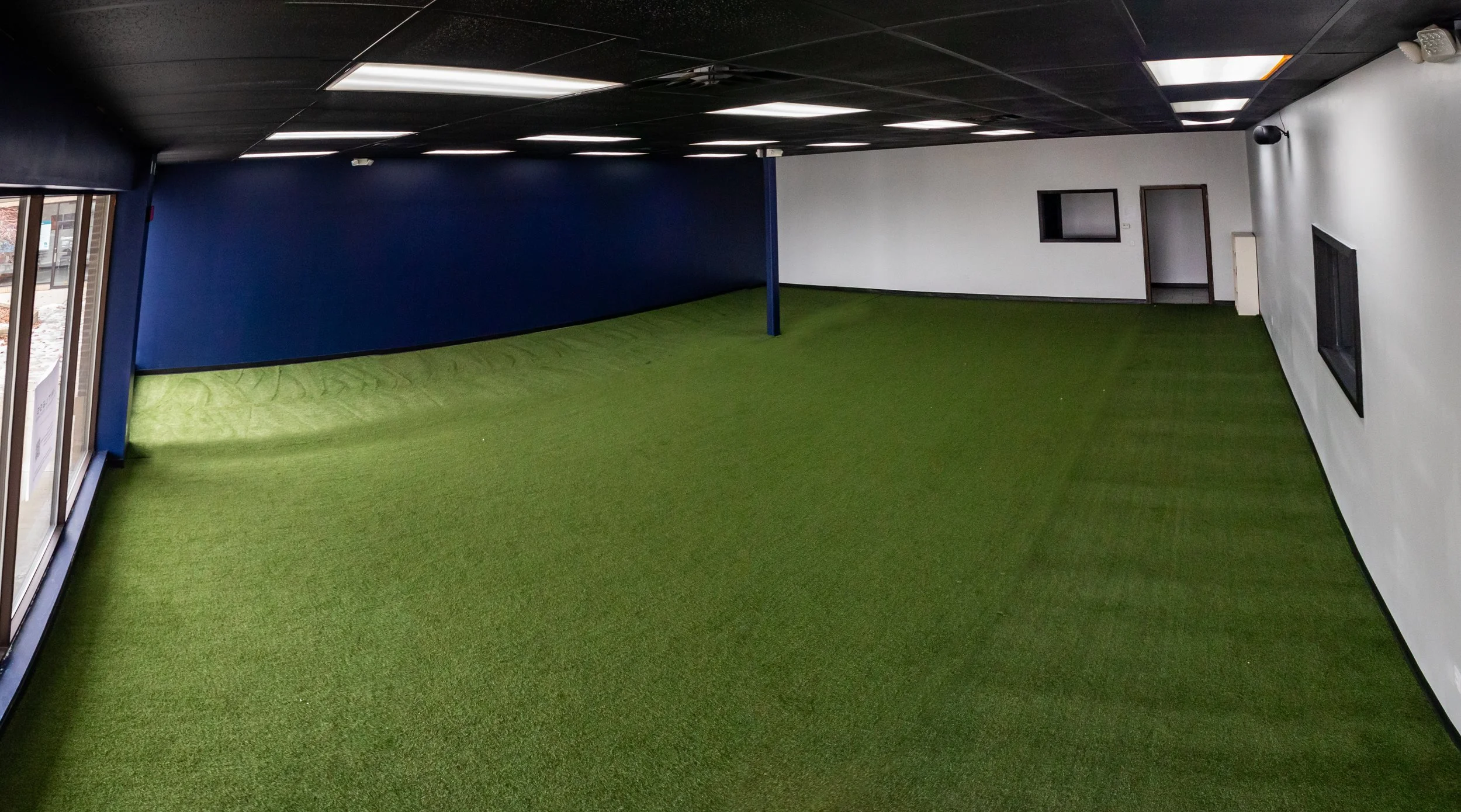 Limitless Performance Coach