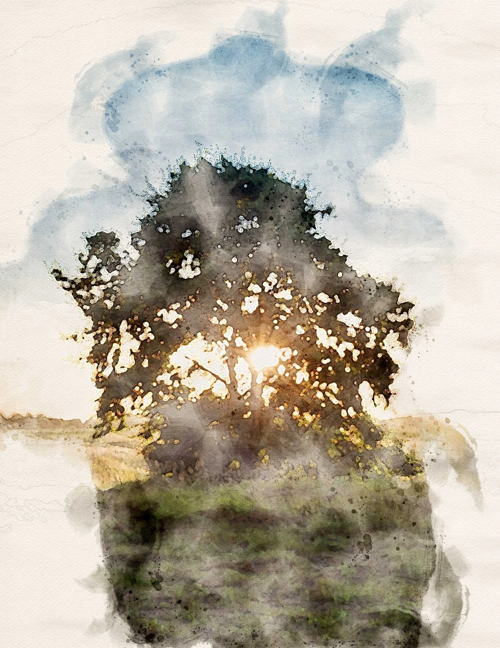 Oak tree in sunlight