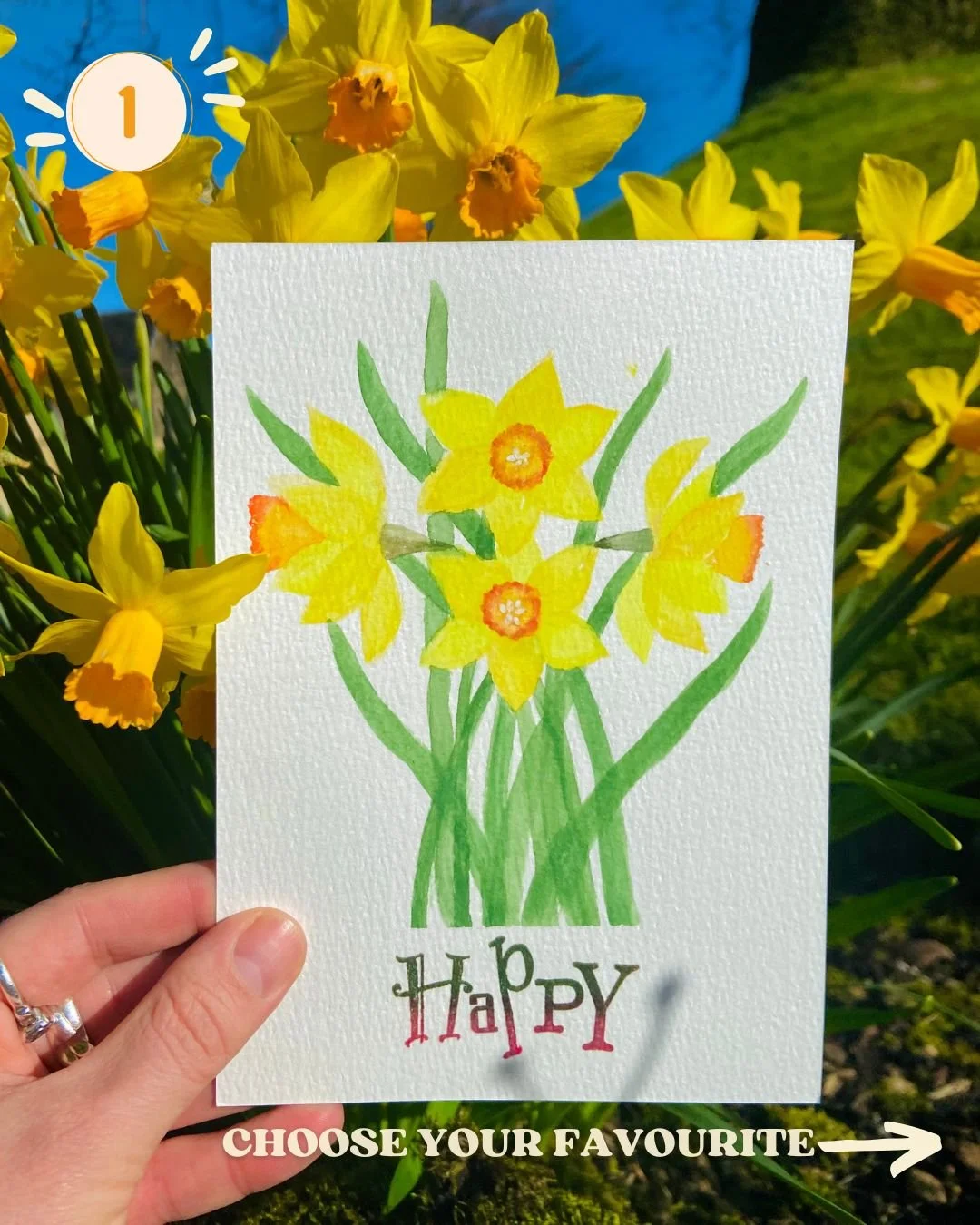 🌼 Daffodil  Greeting Cards 
🌼 I need your help! 
I&rsquo;m thinking of adding these daffodil cards to my shop, but I&rsquo;m curious&hellip; how do you choose your greeting cards?

Do you prefer:
🌼 A simple design with no text
or
🌼 A card with a 
