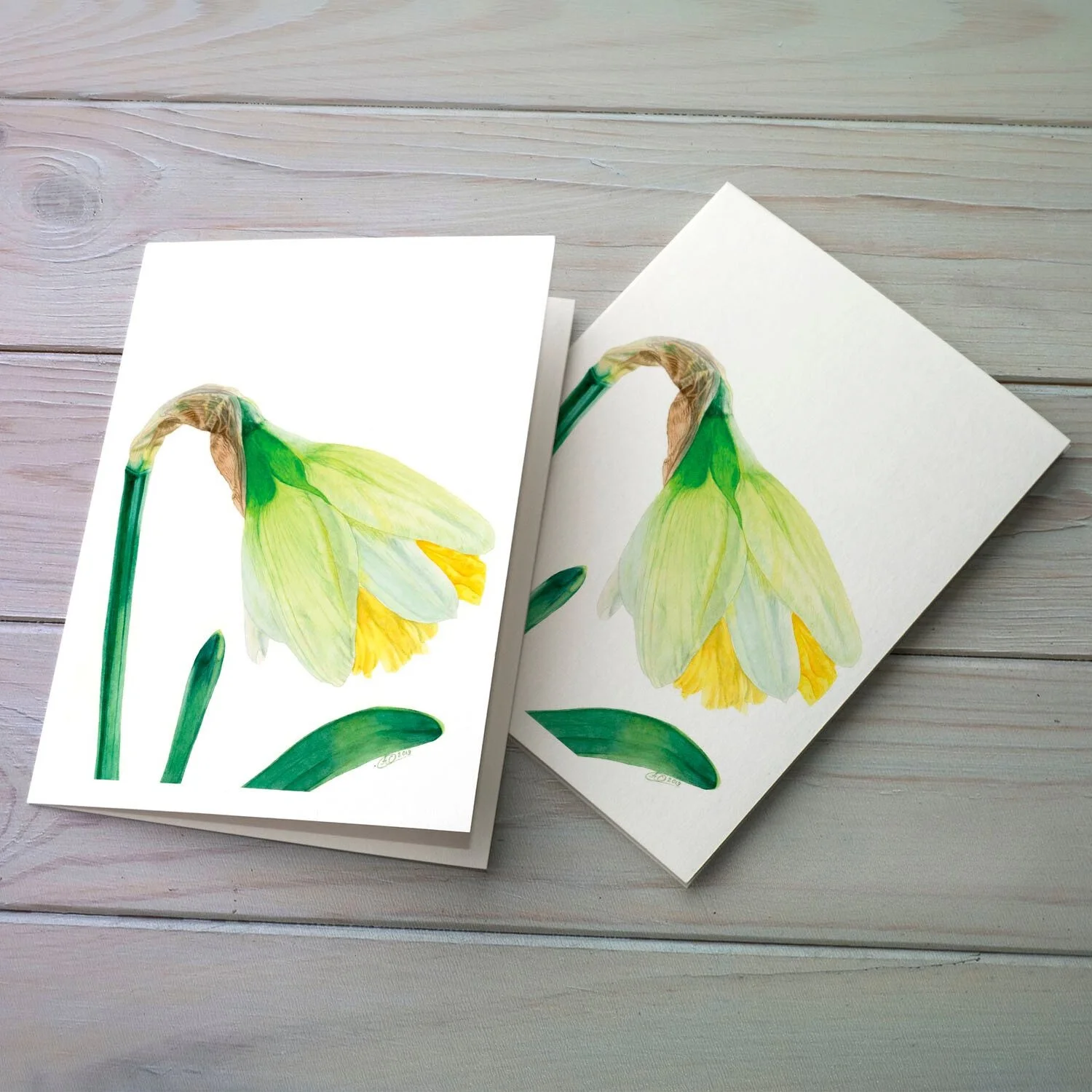 🌼 I know these 2 daffodil cards can&rsquo;t really be compared, the painting styles are quite different, one is painted in a more detailed, fine art style, while the other is looser. Same flower, two completely different approaches.
but I&rsquo;m st