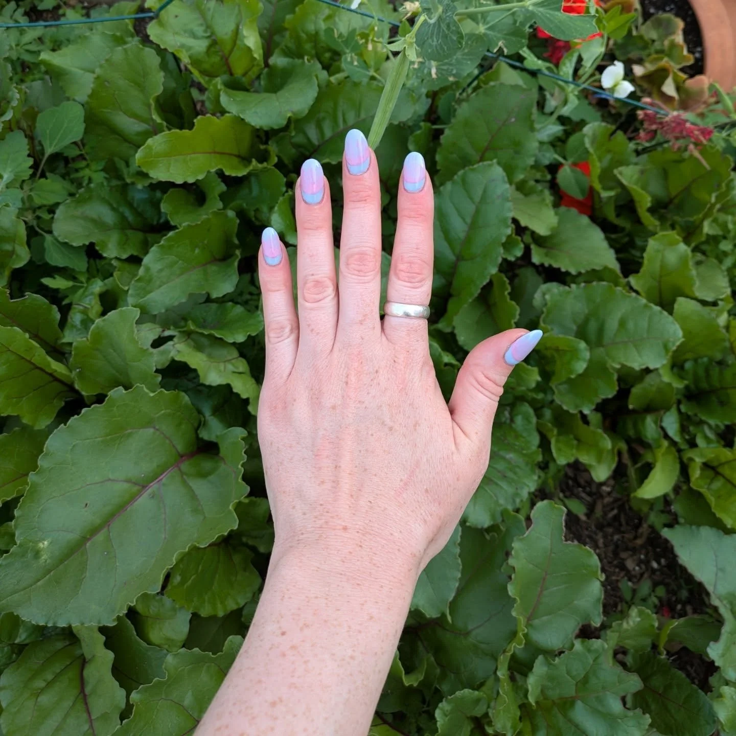 About a week and a touchup late, but more pretty nails (very thoroughly prepped and well adhered gel x yay), with my garden as background