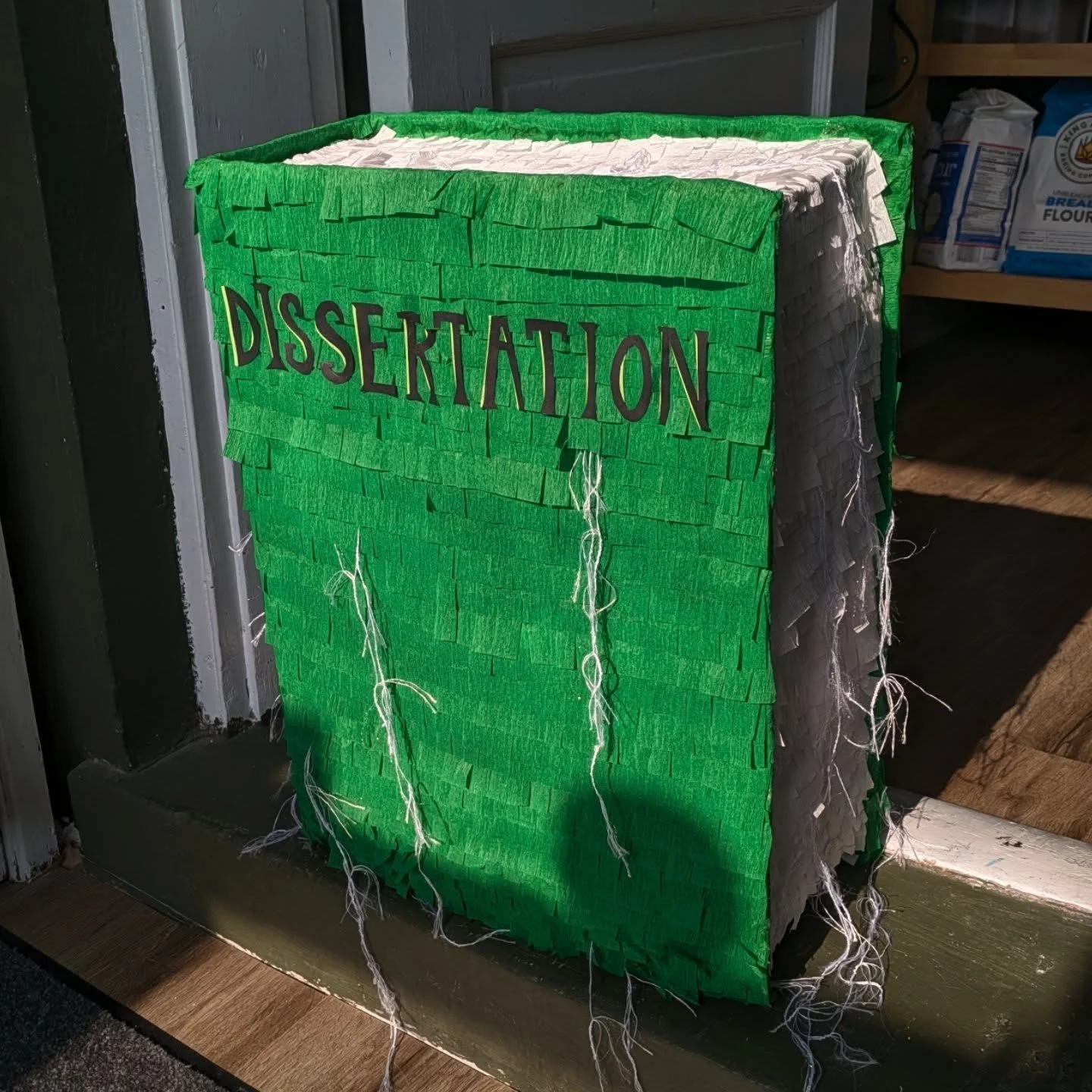 @basil.dazzle made a dissertation so I made a pinata, cake and pin the tassel/tears game to celebrate 😘