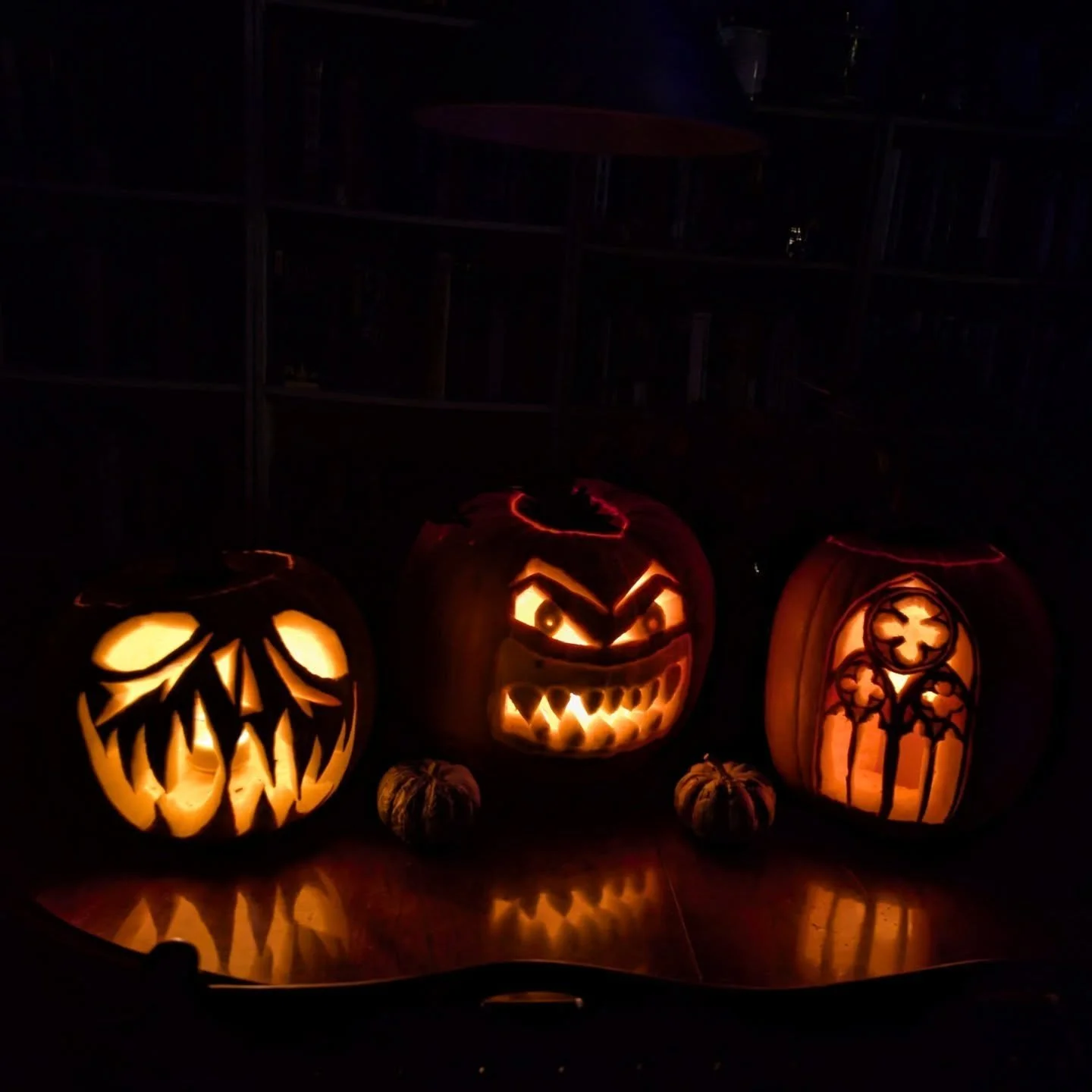 We hand plucked these guys. 
Me, @basil.dazzle , me. We impressed ourselves 🎃