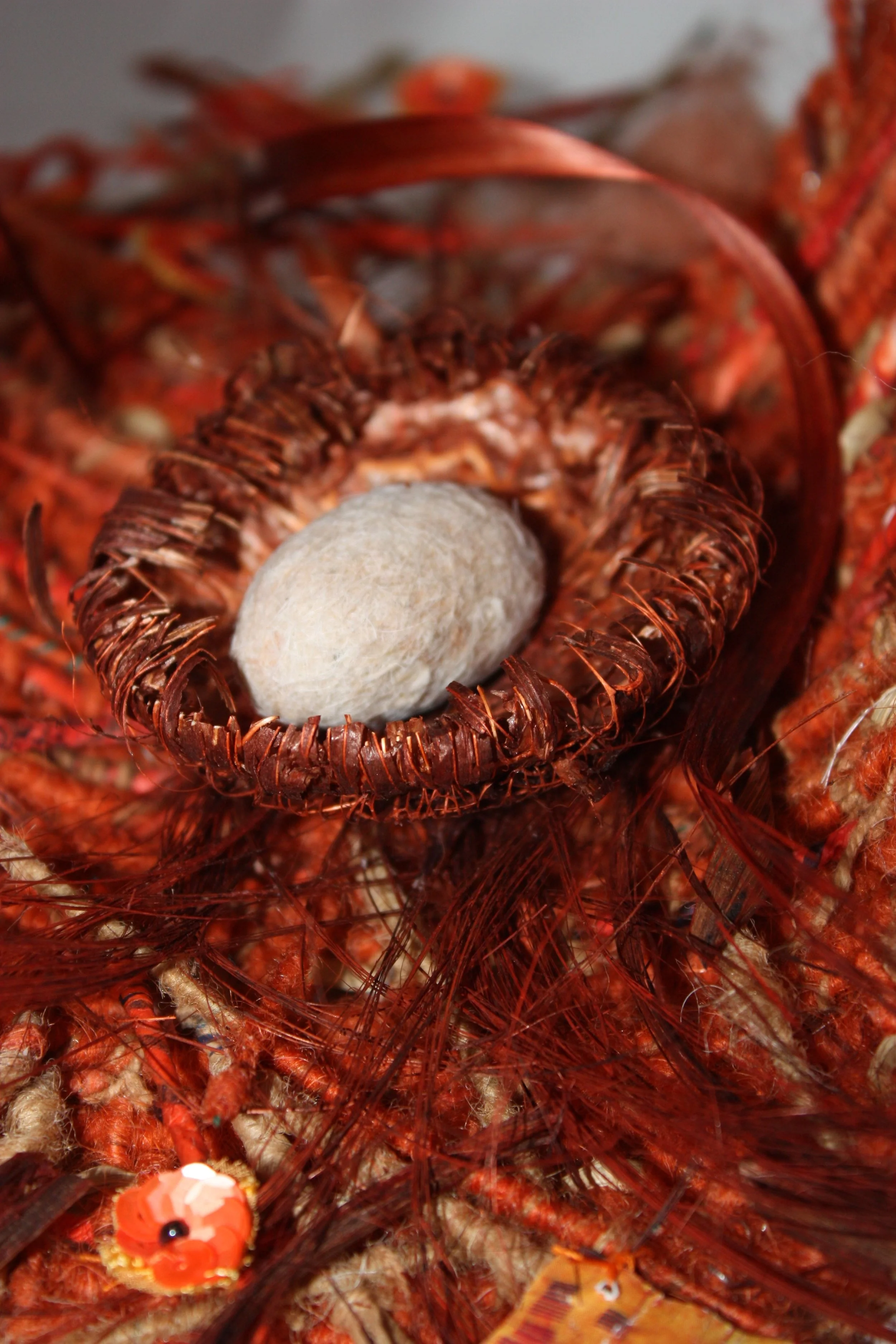 Bower Bird egg nest..jpg