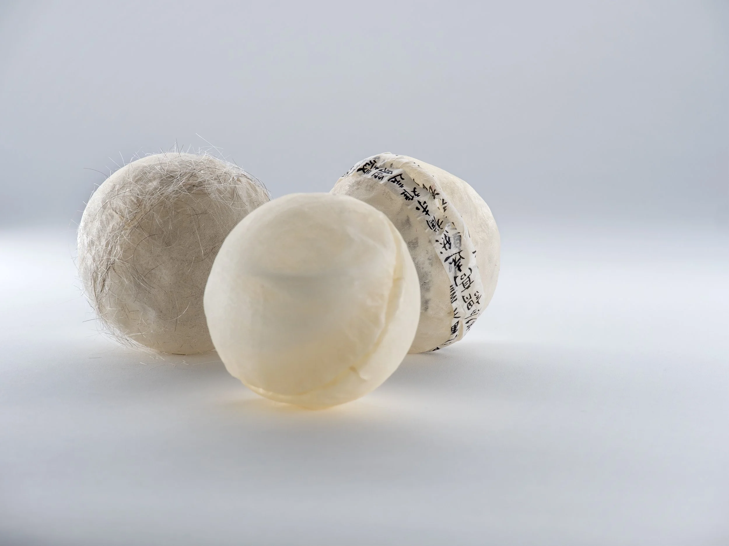 White Chromosomes.jpg