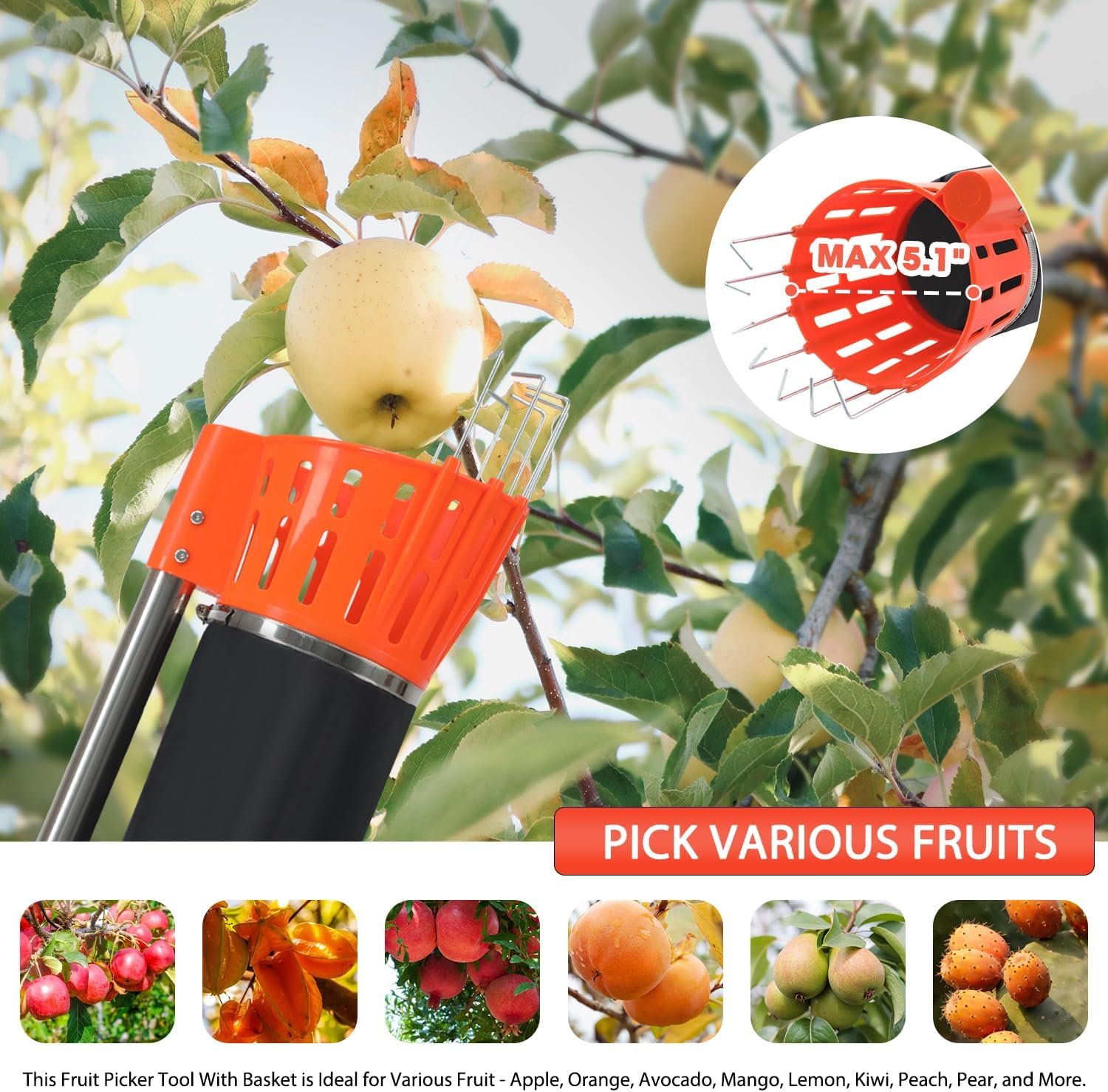 Picker_6_.jpg