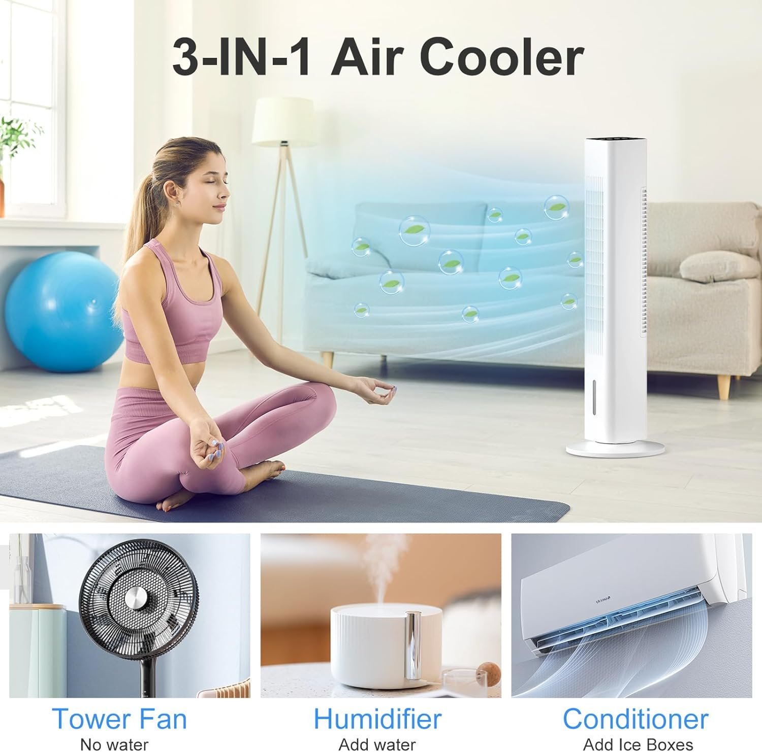 Fan_2_.jpg