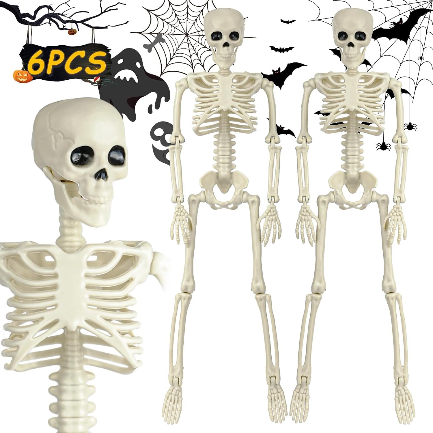 Skel 2_.jpg