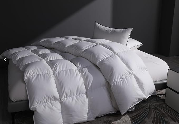 Comfort_.jpg