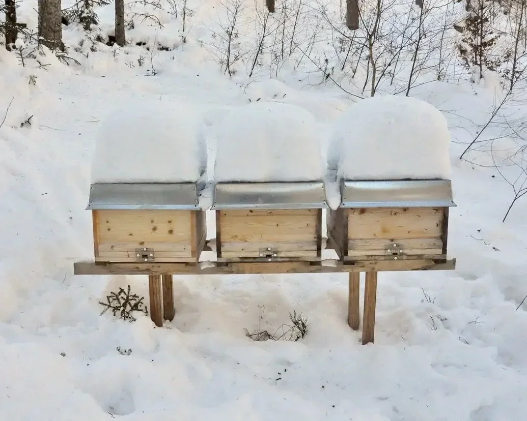 Beekeeping Field Day 5 Preparing for Winter