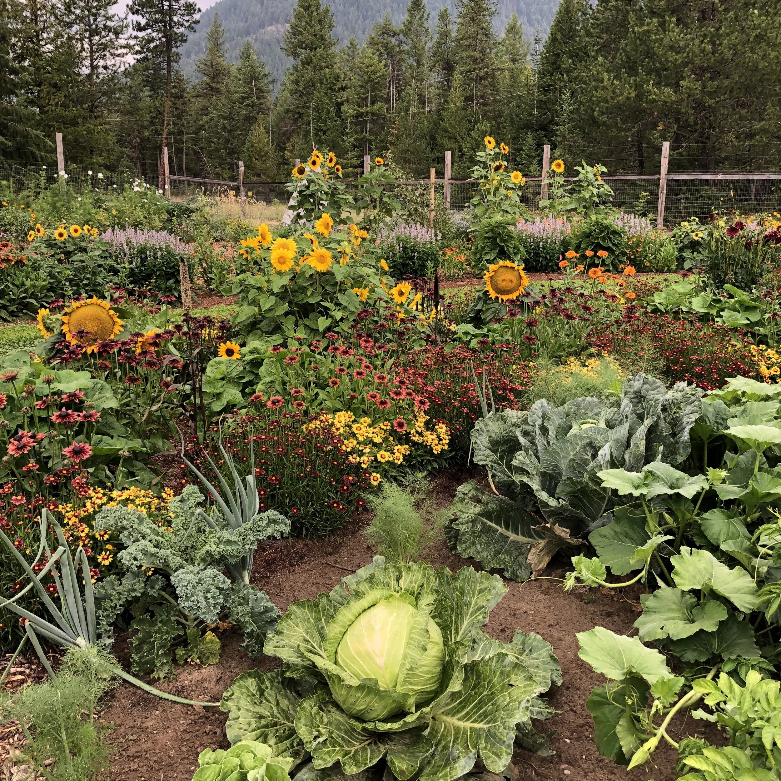 Workshop: Soil Health and Monitoring with UBC and ERC