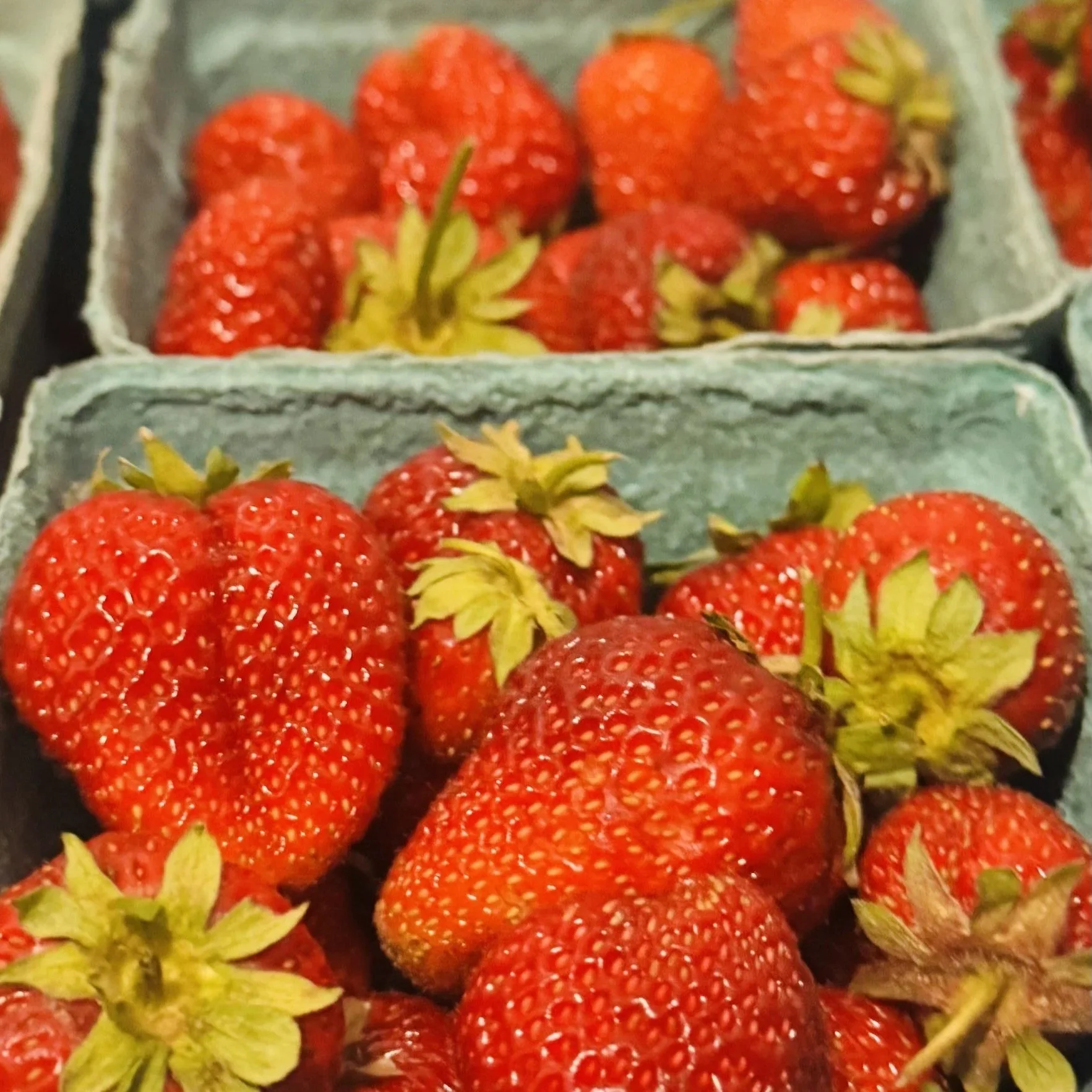 strawbwrries+.jpg