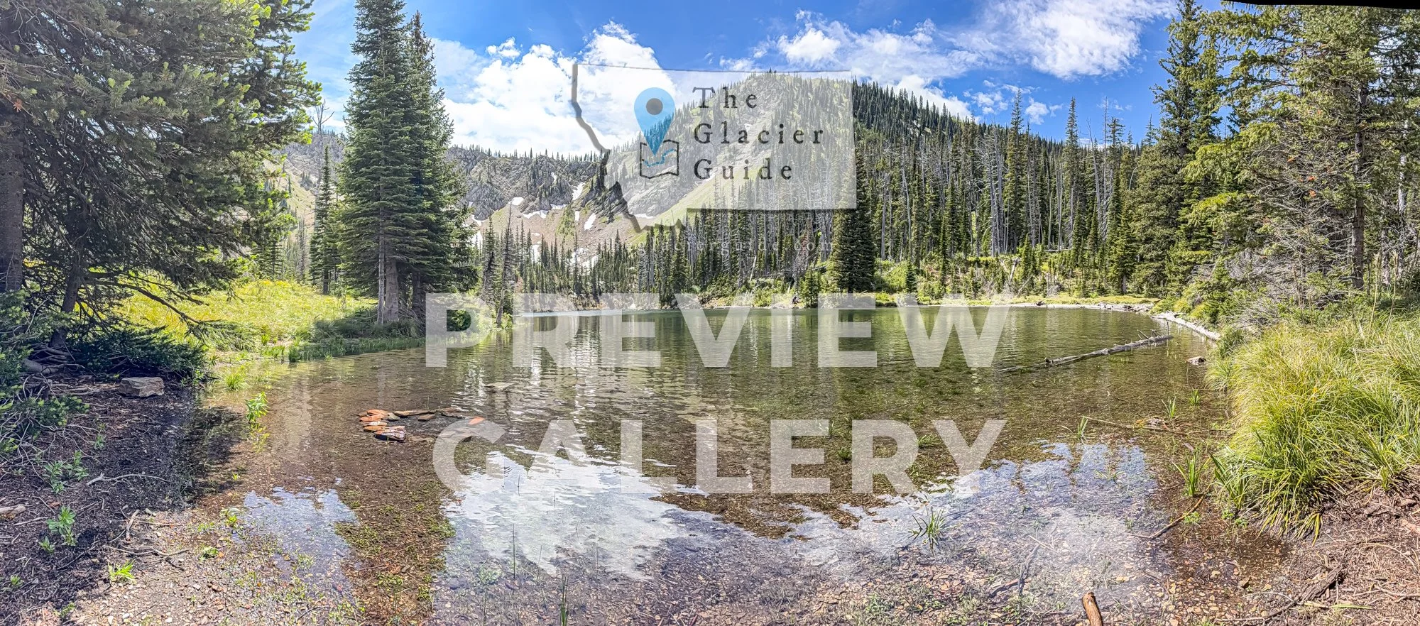 TGG-EPS-07032026-01-0-PREVIEW-99.jpg