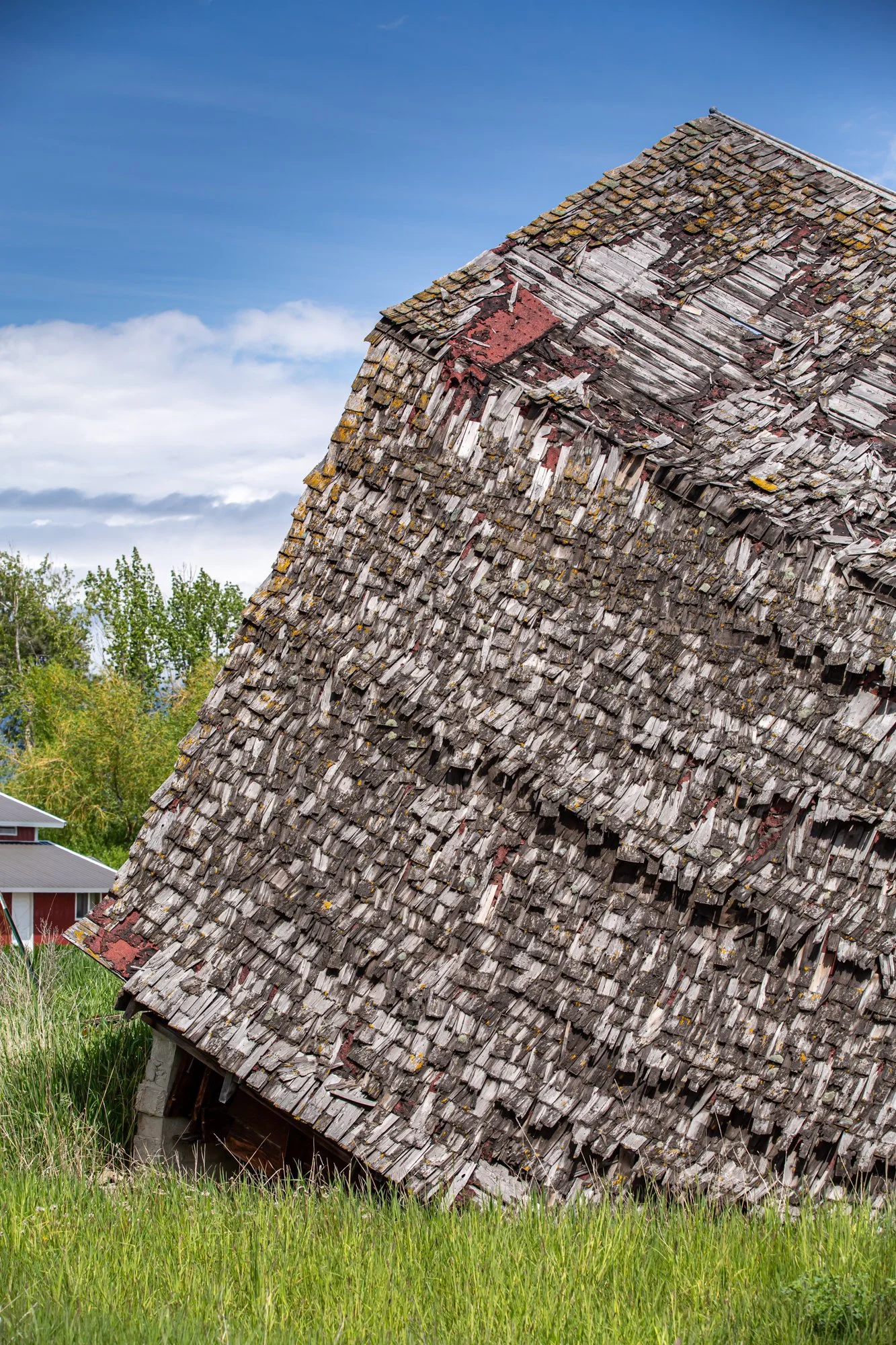 WFO Barn Tours Scout - Spring 2024-242.jpg