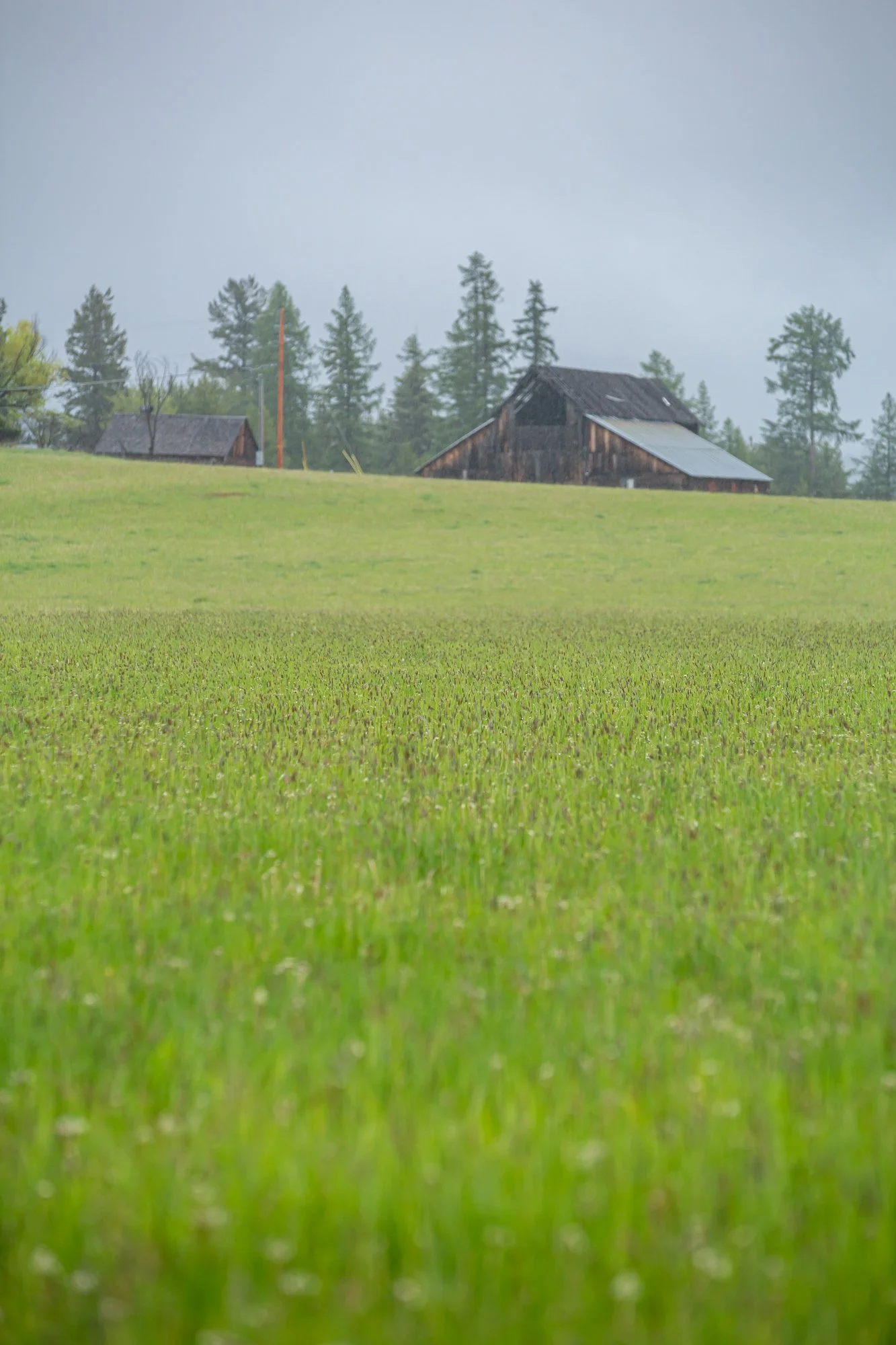 WFO Barn Tours Scout - Spring 2024-019.jpg