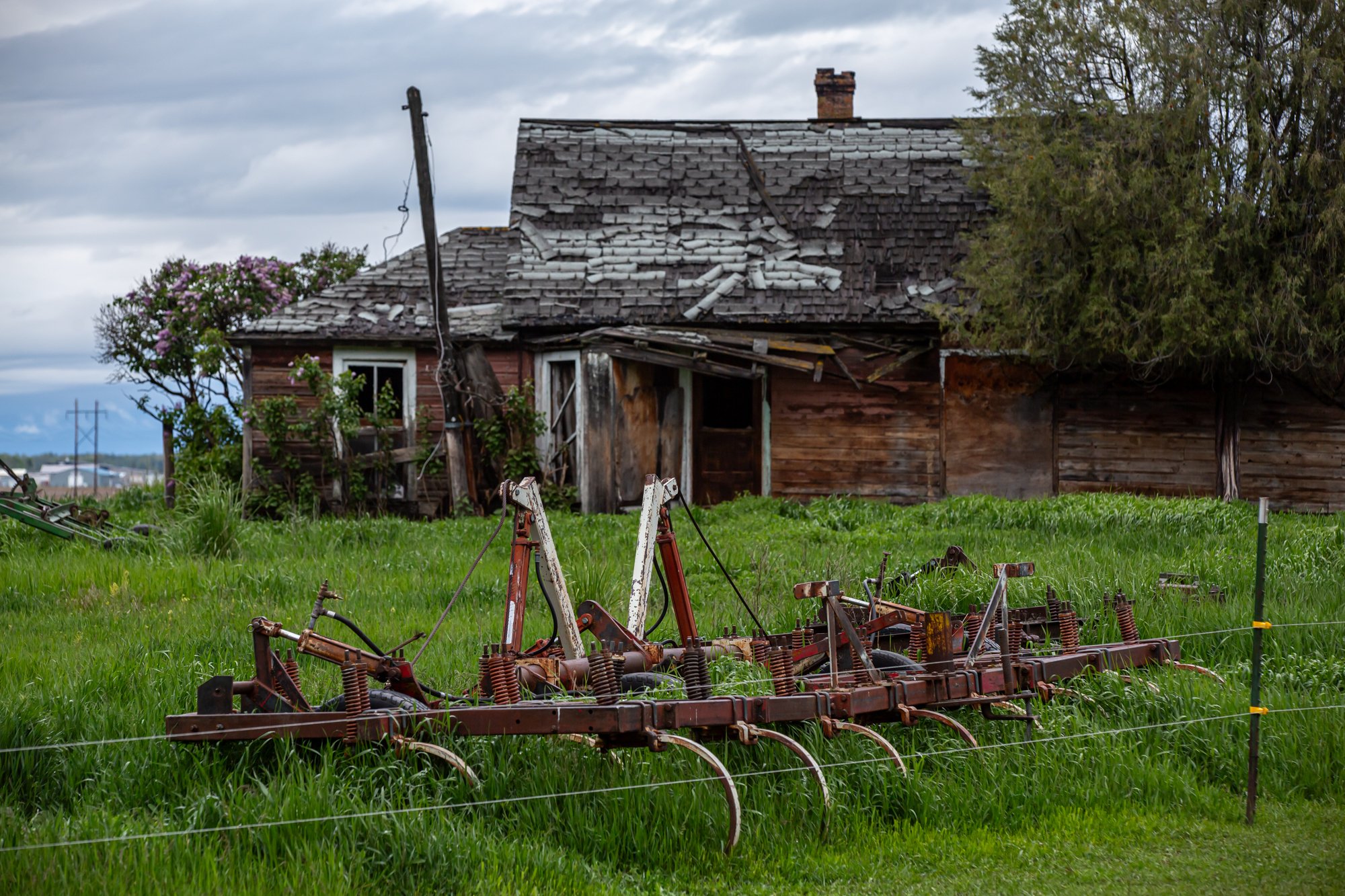 WFO Barn Tours Scout - Spring 2024-167.jpg