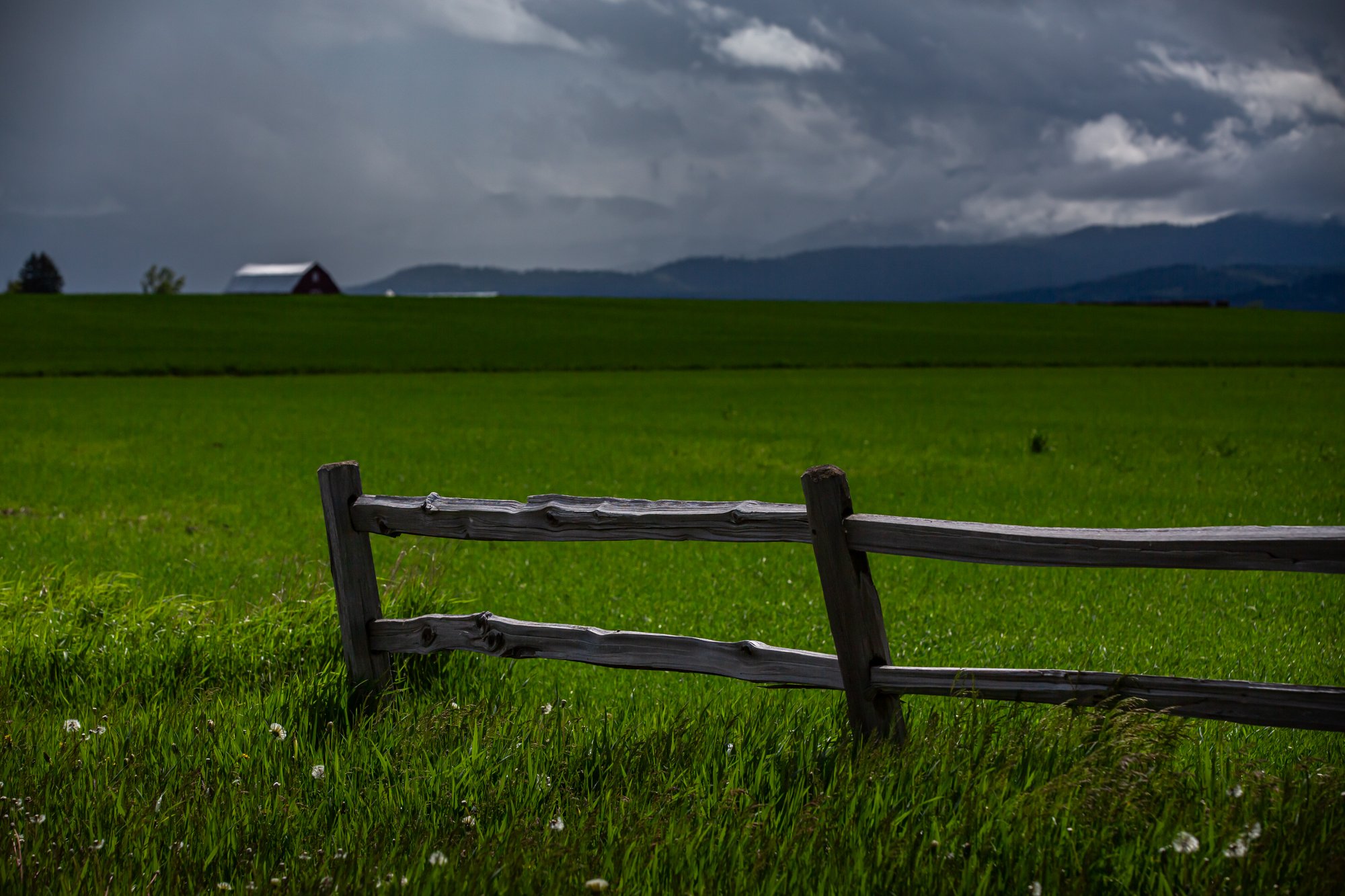 WFO Barn Tours Scout - Spring 2024-255.jpg