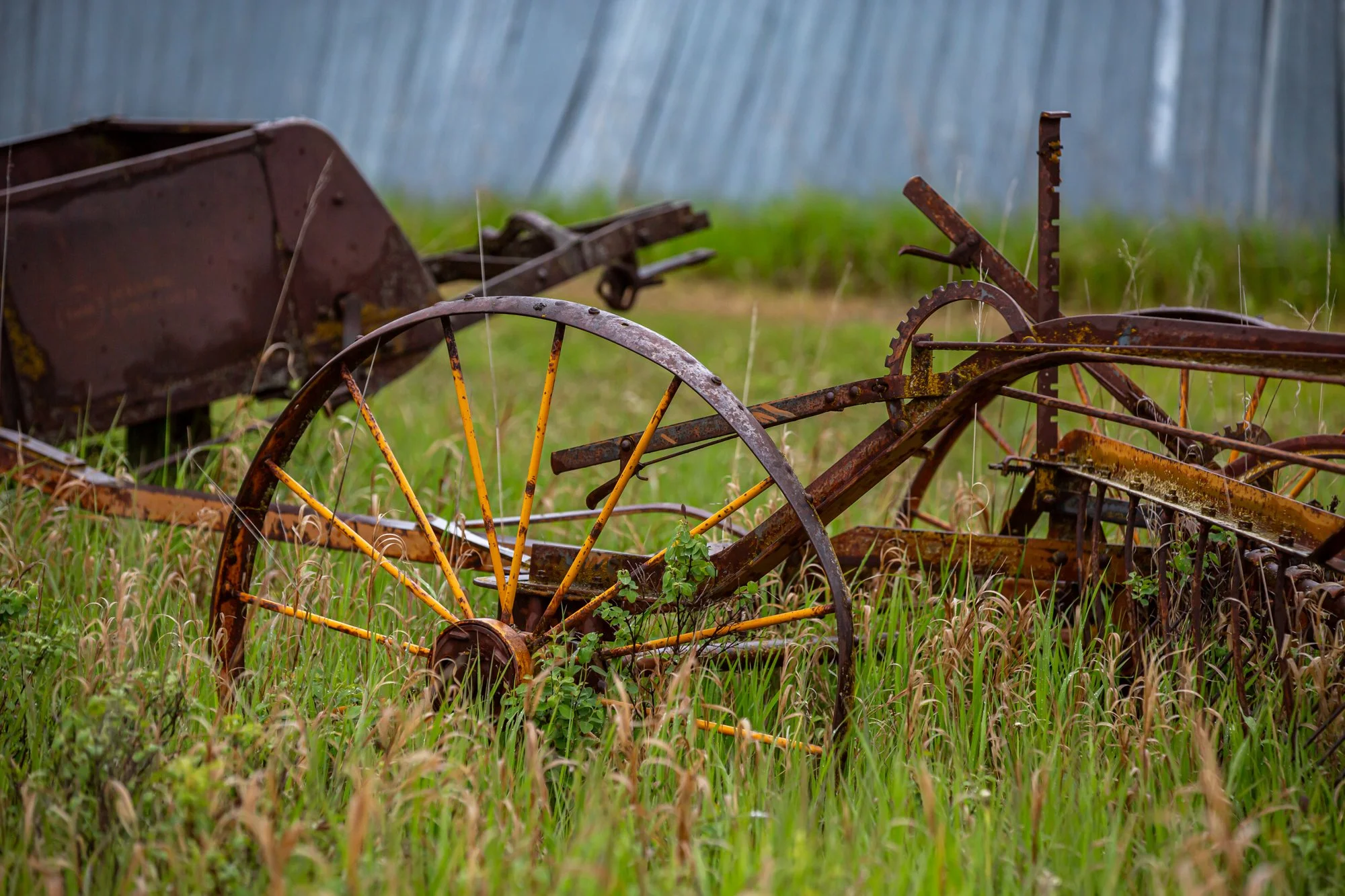 WFO Barn Tours Scout - Spring 2024-104.jpg