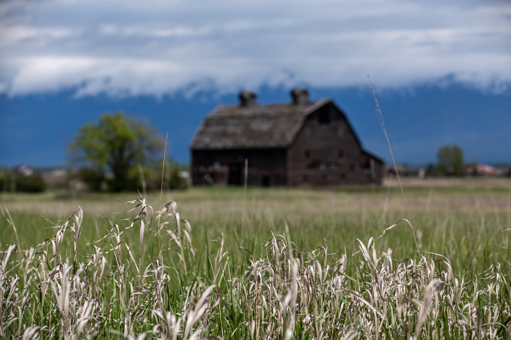 WFO Barn Tours Scout - Spring 2024-044.jpg
